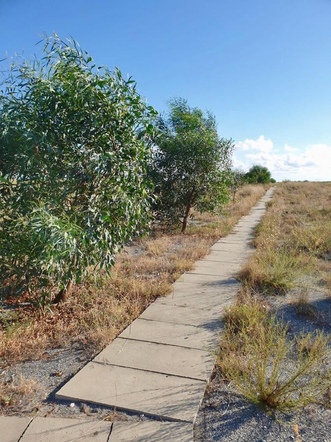 Vista Mare Su Tre Piani Con Giardino Villa Falerna Exteriör bild